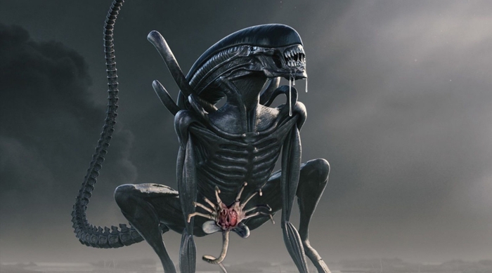 Rule 34 - NSFW, My, Rule 34, Stranger, Xenomorph