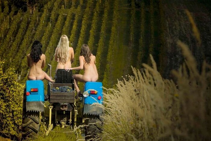 The last parts were removed from the tractor driver - NSFW, Girls, Tractor, Field