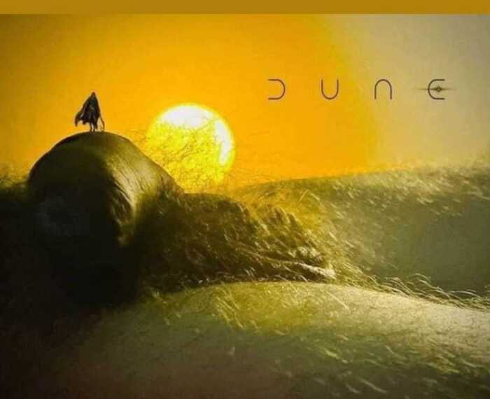 Have you seen Dune 2 yet? - Humor, Images, Repeat, NSFW, Movies