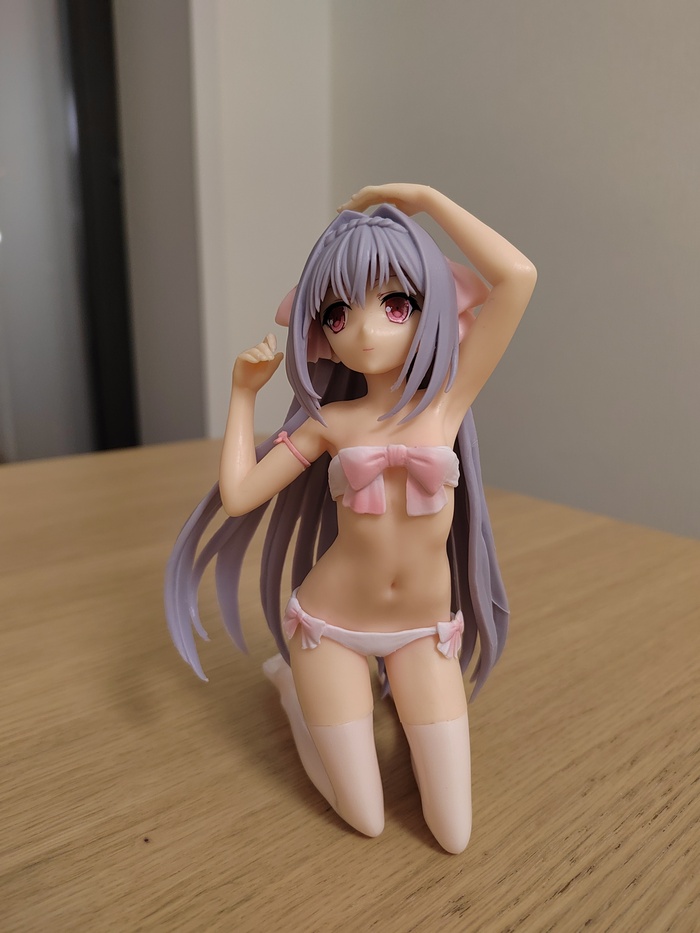 Anime Chan Toy (Looking for a Character) - NSFW, Anime, Toys, Cloth, Presents, Longpost