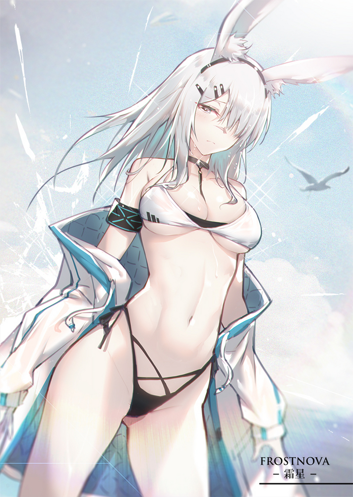 Frostnova - NSFW, Anime art, Anime, Arknights, Frostnova, Animal ears, Swimsuit