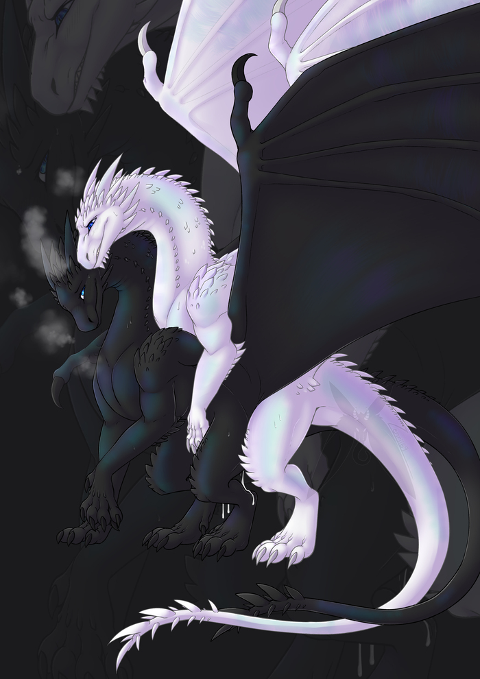 Dragons by Zenrii - NSFW, Art, The Dragon, Wyvern, Drake, Furotica, Furotica female, Furotica male, Labia, Penis, Yiff, Digital drawing, Zenrii, Longpost