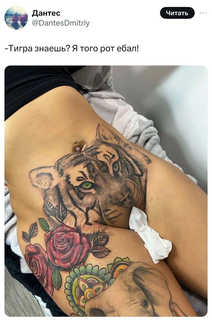 Do you know the tiger? - NSFW, Tiger, Tattoo, Picture with text, Repeat