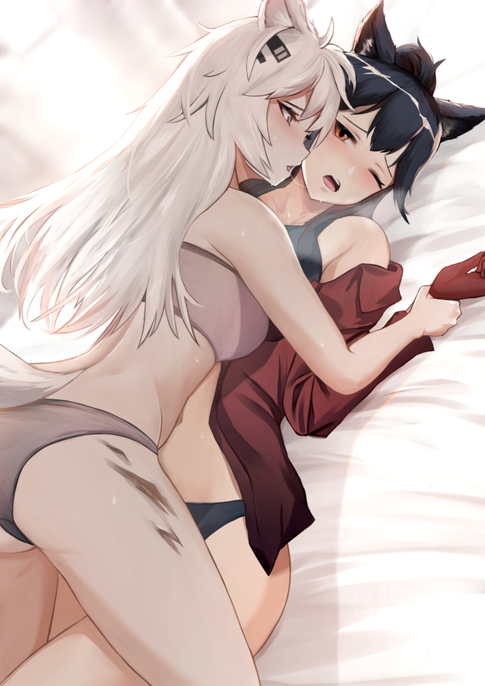 Texas and more - NSFW, Anime, Animal ears, Anime art, Arknights, Texas (Arknights), Lappland, Yuri