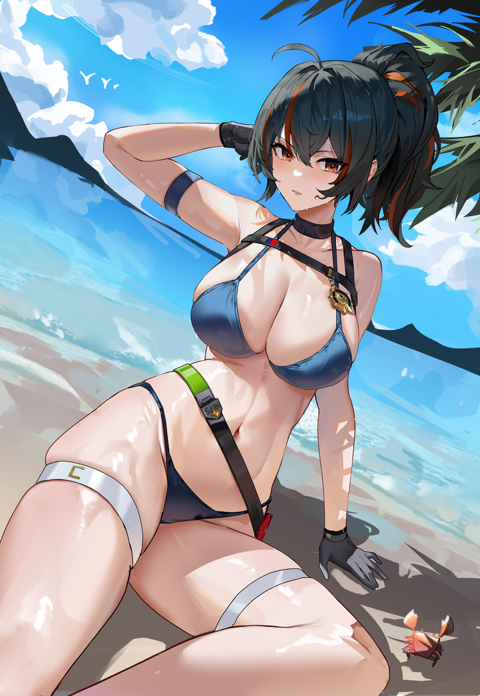 On the beach - NSFW, Zhu Yuan (zzz), Zenless Zone Zero, Anime art, Art, Games