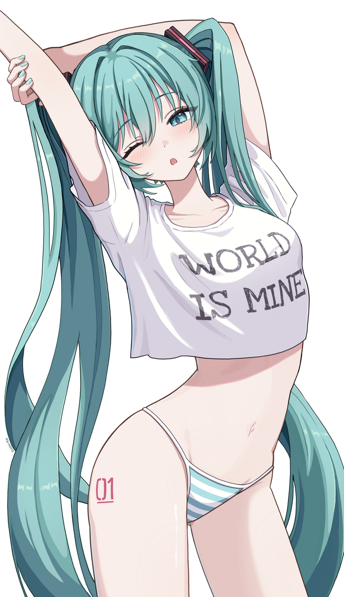 Miku - NSFW, Anime Art, Аниме, Vocaloid, Hatsune Miku, Панцу